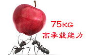 75KG承载能力